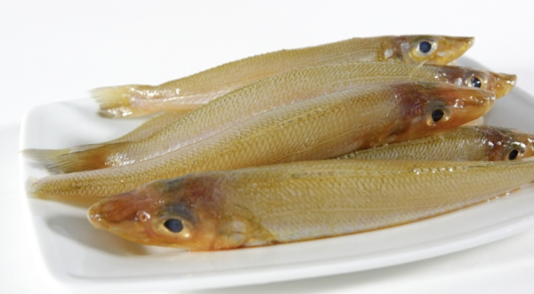Cá Bống Cát đông lạnh 500g