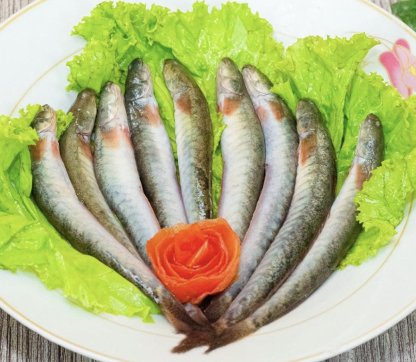 Cá Kèo đông lạnh