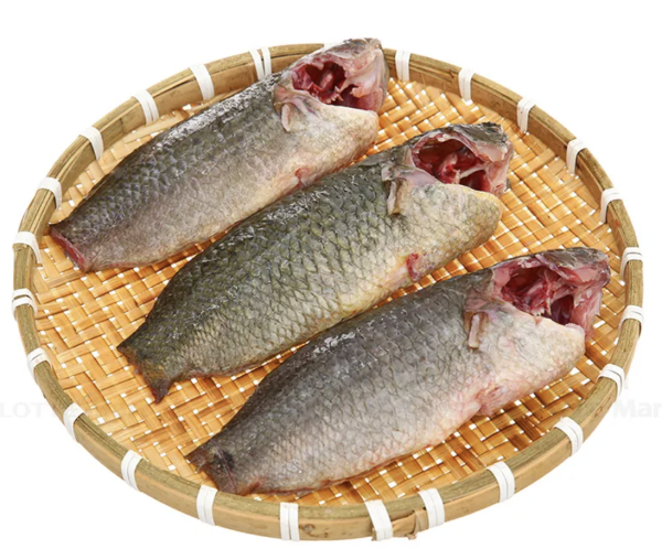 Cá Rô Đồng đông lạnh