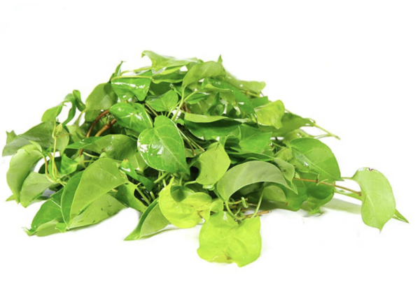 Lá giang đông lạnh