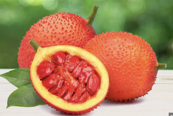 Gấc đông lạnh