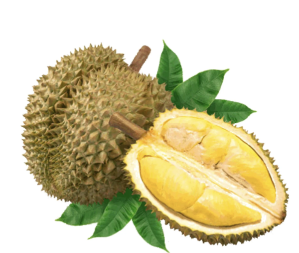 Sầu riêng Monthong đông lạnh 500g
