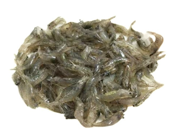 Tép đông lạnh