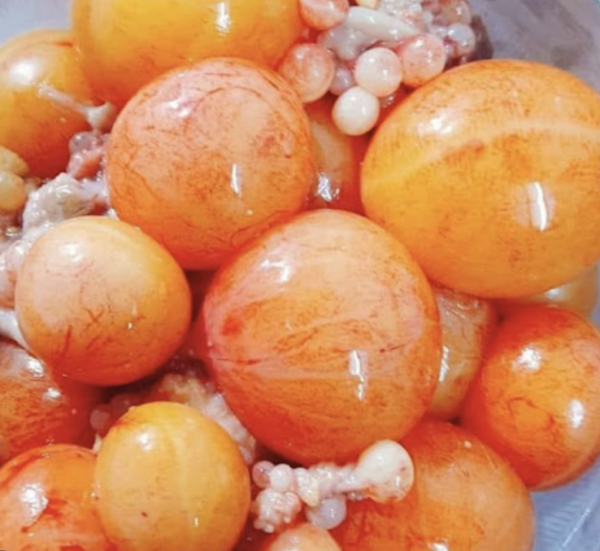 Tràng trứng