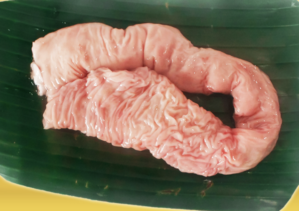 Khấu đuôi heo