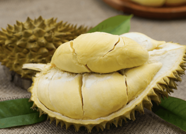 Sầu Thái loại B