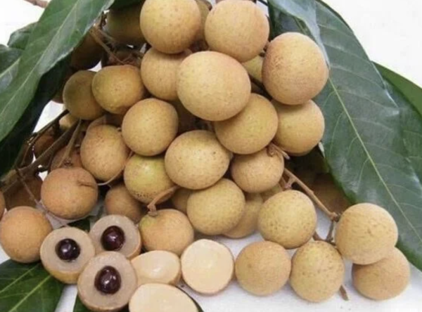 Nhãn đông lạnh
