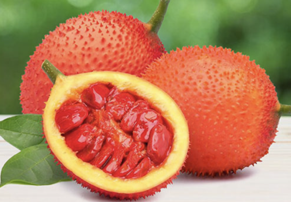 Gấc đông lạnh