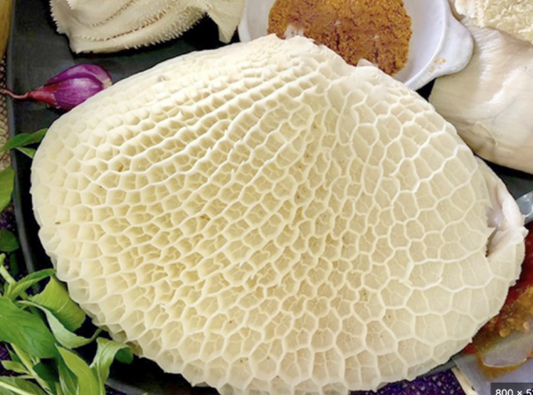 Tổ ong bò