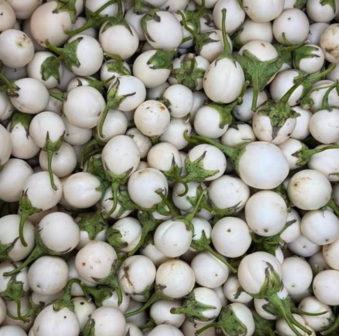 Cà pháo trắng (1kg)