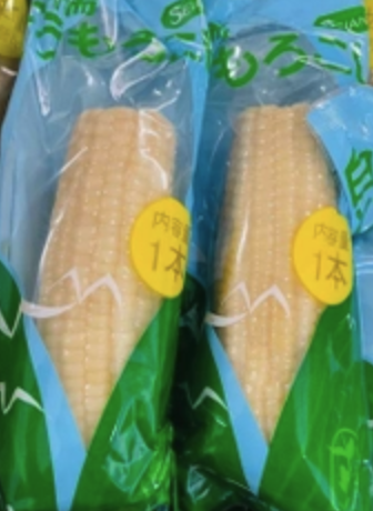 Ngô nếp